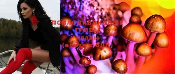винт Алексин